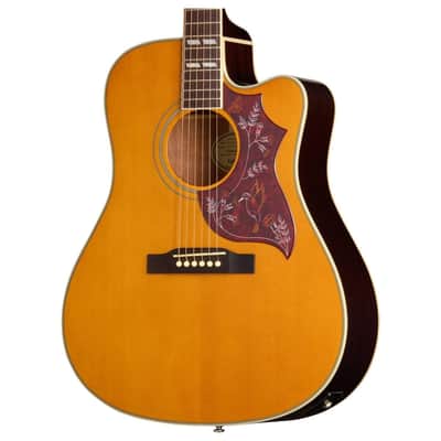 EPIPHONE PR-7 E (MODEL EEP7) acoustic guitars for sale in USA