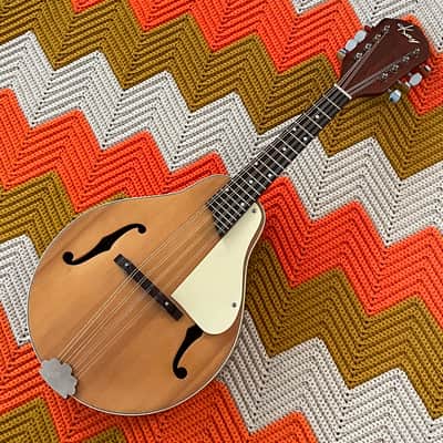 Kay Mandolin - Classic Mandolin! - Made in USA 🇺🇸- Gorgeous Sound and Great Condition! - image 19
