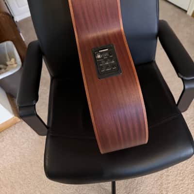 Spector Timbre 2010s - Walnut image 4