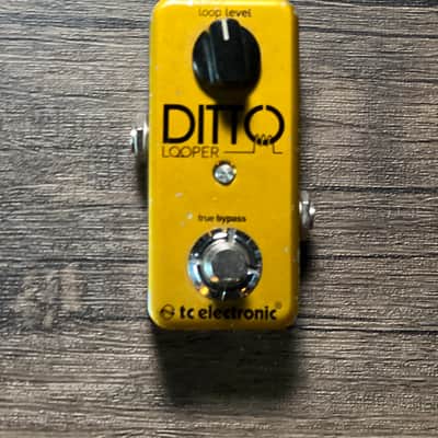 TC Electronic Ditto Looper Limited Edition | Reverb