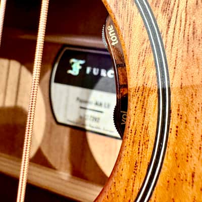 Furch Guitars LEFTY Pioneer MM a w/ Lr BaggsEAS VTR Preamp Exclusive 2025 image 21