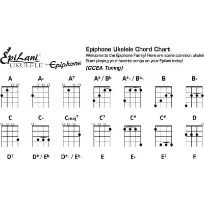 Epiphone EpiLani Ukulele (Soprano) - Natural Satin image 6