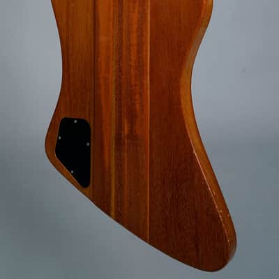 Gibson Thunderbird Bicentennial 1976 - Natural image 6