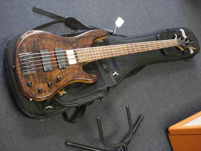 G Gould GGJ5 5string bass with deluxe gigbag imagen 1