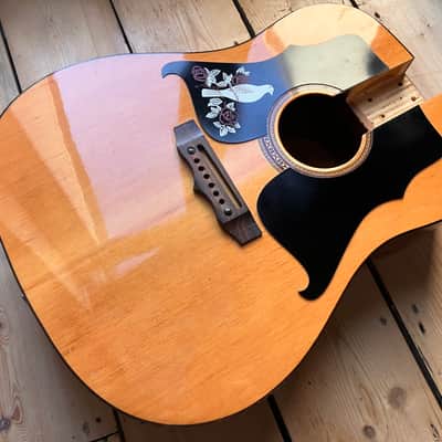 Kay K 550 70s 6 String Acoustic Guitar Body Made By Eko in Italy image 2