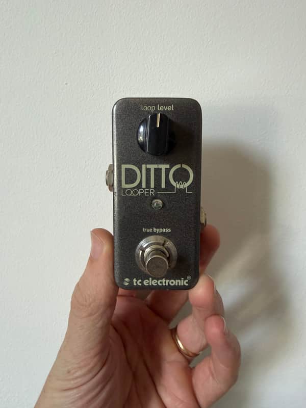 TC Electronic Ditto Looper
