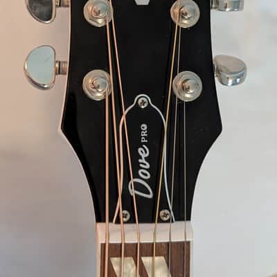 2020 - 2025 Epiphone Dove Pro Alpine White A/E with Road Runner Hard Shell Case image 6