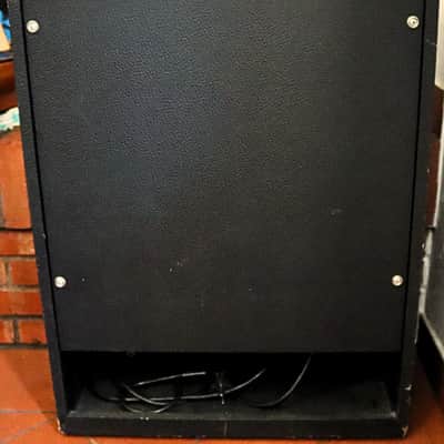Newton Limec R200 electric and acoustic guitar combo amp 2x8 vintage 70s image 7