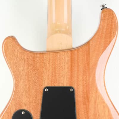 PRS SE Custom 24 Swamp Ash image 4