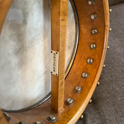 Orpheum No.1 Little wonder mandolin-banjo to five string conversion 1920s image 5
