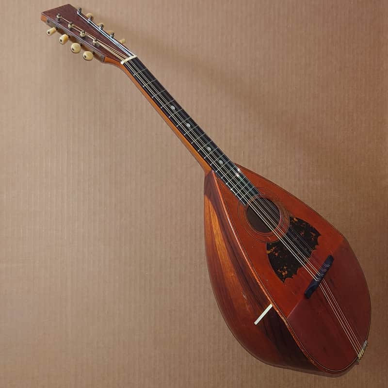 Rare Schwarzer Model 120 "Echo" bowl back mandolin Circa 1900 image 1