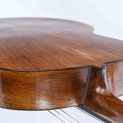 Giacinti Celeste & Figlio Harp Guitar 1880s image 10
