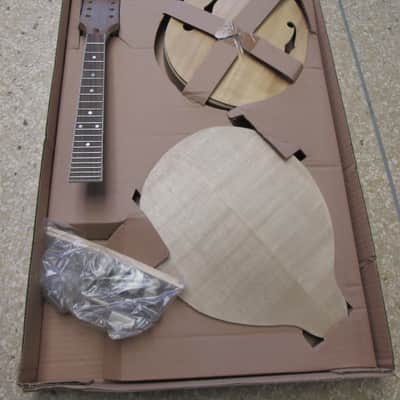 Saga AM-10 Build Your Own Mandolin Kit Build Kit image 1