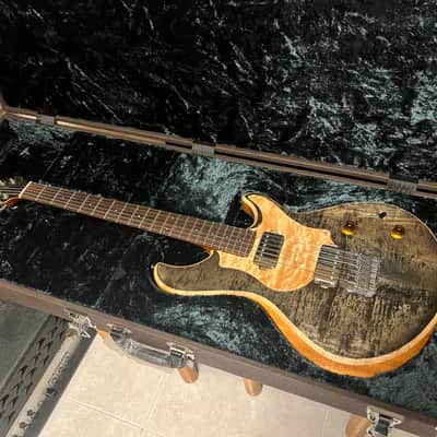 Nishgaki Style-N Guitar Amnis Radix 2018 Suiboku image 1