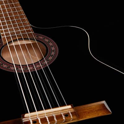 Folk Instruments CE 4/4 Guitar Black with Fishman Pickup image 8