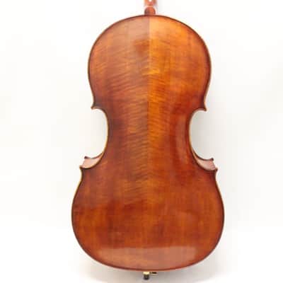 Snow SC300 Cello image 11
