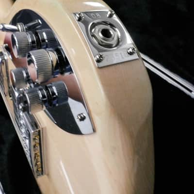 Rickenbacker 650C Colorado 2008 RARE Mapleglo image 10