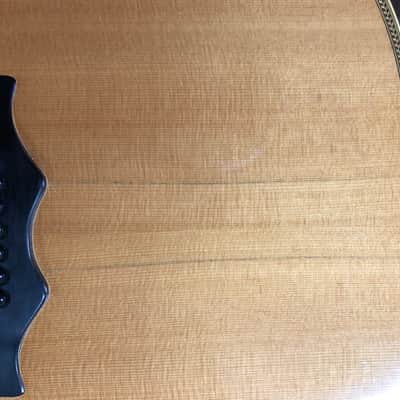 Très rare guitare Bozo Podunavac Bell Western B-80 de 1975 dans son étui d'origine! VIDEO image 22