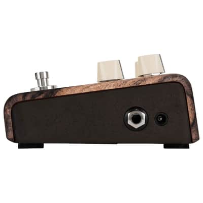 LR Baggs Align Chorus Acoustic Chorus Pedal with Analog Circuit and Blend Controls New image 2