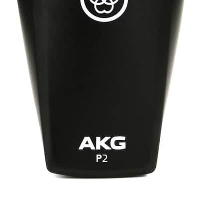 AKG Perception P2 Cardioid Dynamic Bass Microphone image 1
