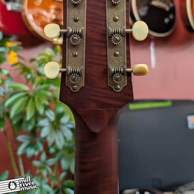 Iris JB Natural All Mahogany w/ Tortoise binding and pickguard Acoustic Guitar- Used image 6