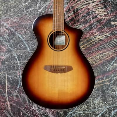 Breedlove Discovery S Concert Edgeburst 12 String CE Sitka-African mahogany image 1