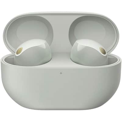 Sony WF-1000XM5 Noise Canceling Wireless Earbuds (Silver) Bundle with 2 YR Warranty image 13