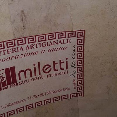 Liuto cantabile (mandocello 5 courses) image 6