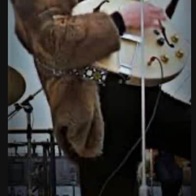 Epiphone John Lennon Inspired By ‘68 Revolution E230TD Casino with Original Hard Shell Case image 13