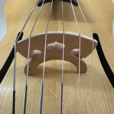A.Loziakov Arpeggione Classica 2026 - Shellac image 13