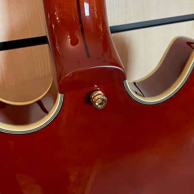 D'Angelico Excel Mini DC Viola Semi-Hollow Electric Guitar Case image 11