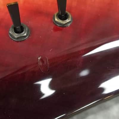Alembic Skylark 6 String 25.5 inch Long Scale Electric Guitar with Case image 12