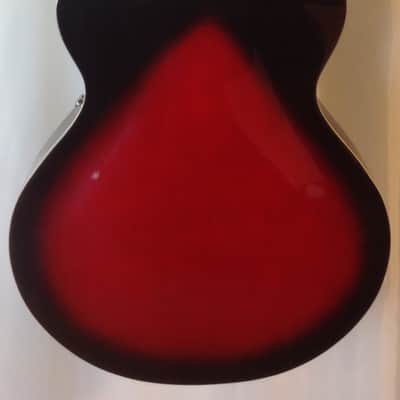 Douglas / MORTone Hollow body 8 string electric mandocello , guitar conversion image 6