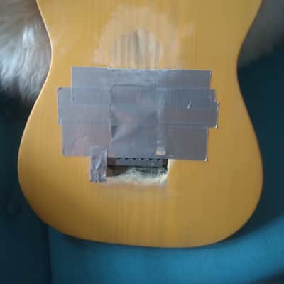 Terry Kath "Chicago" Custom Tribute Telecaster w/HSC image 2