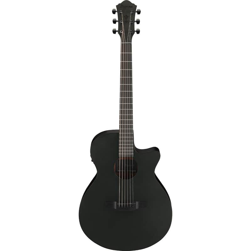 Ibanez AEG Series AEG621 Acoustic Electric Guitar, Black Out image 1