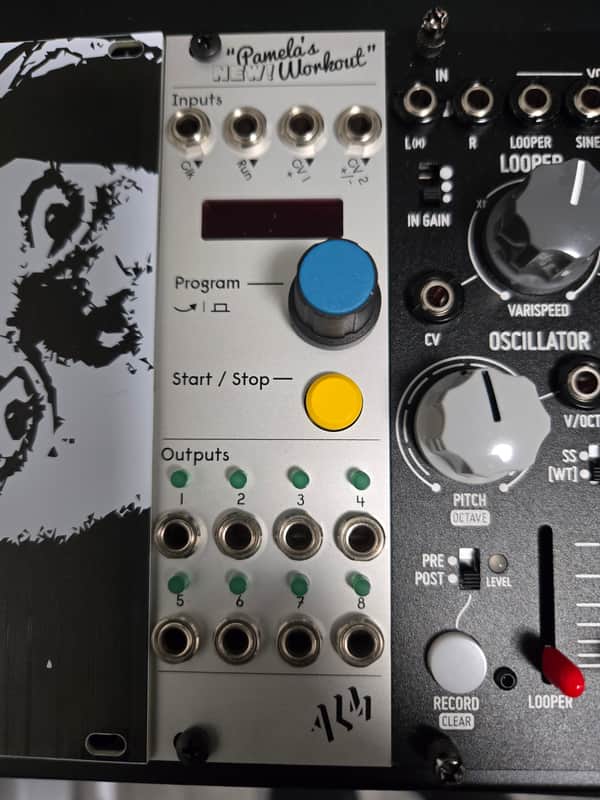 ALM/Busy Circuits ALM017 Pamela's NEW Workout Master Clock & Modulator Eurorack Synth Module 2017 - Present - Silver image 1