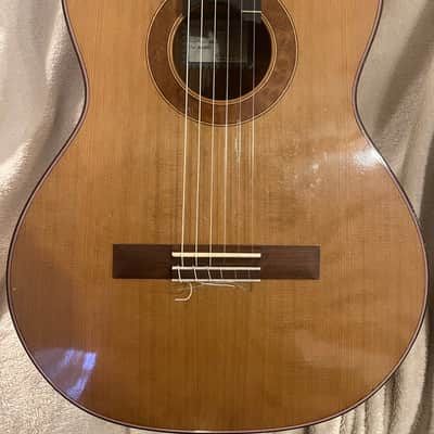 Shadowfax (Matt Jacobs) Concert Classical Guitar 2015 - Cedar/Rosewood image 1