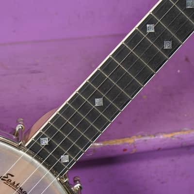 2010s Eastman Whyte Laydie-Style 5-String Openback Banjo (VIDEO! Fresh Work, Ready) image 5