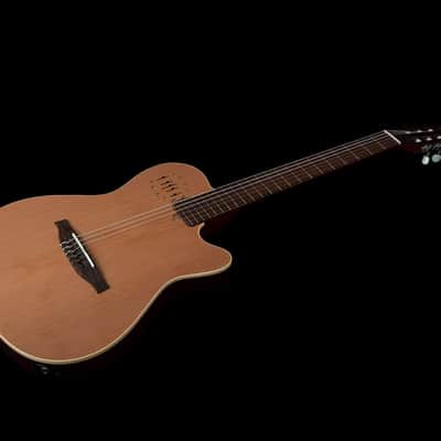 Godin MultiAc Nylon Encore – Natural Semi-gloss (035045), Godin V1095 MultiAc Case Bundle image 5