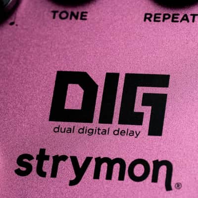 Strymon DIG Dual Digital Delay V2 2025 - Pink image 3
