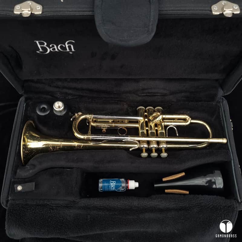 Vincent Bach TR200 Step-Up Bb Trumpet  Lacquered Brass gamonbrass image 1