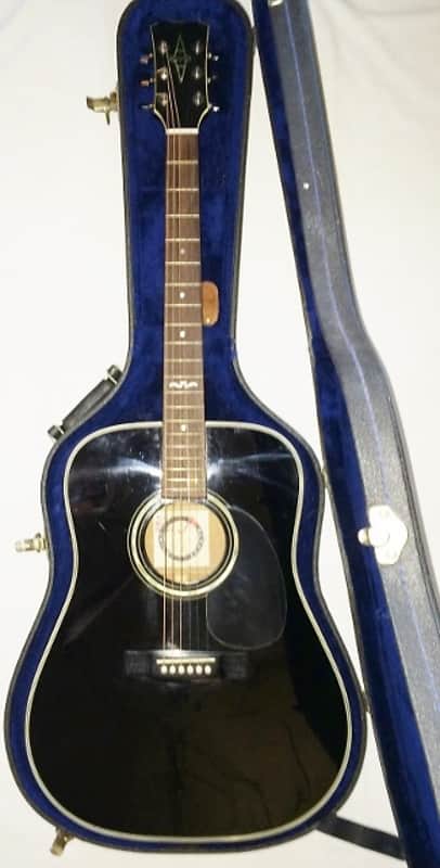 Alvarez 5019 AV Midnight special electric/ acoustic with Nice Hard Case image 1