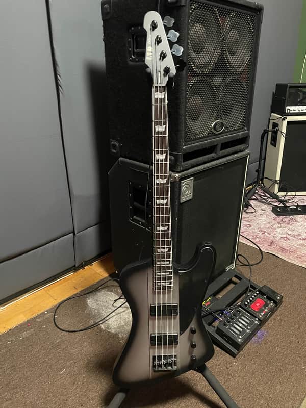 ESP LTD Phoenix-1004