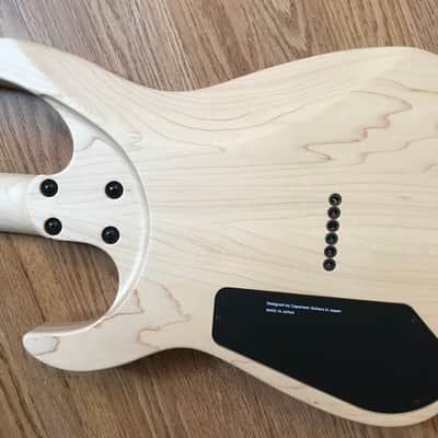 Caparison Dellinger II FX-AM image 13