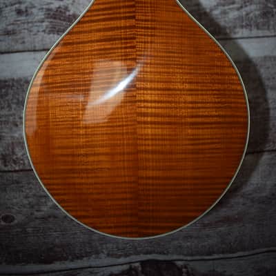 2022 Bourgeois Mandolin Model A image 10