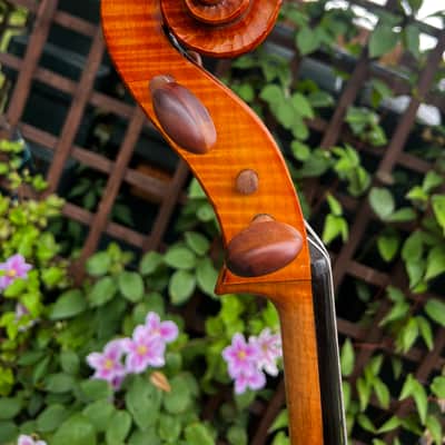Italian-American Cello By Vittore Giardinieri 1989 image 9