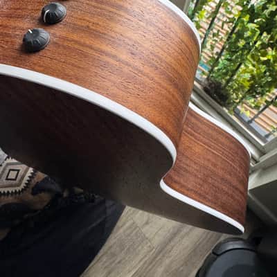 Taylor 214ce 2023 - Walnut image 4