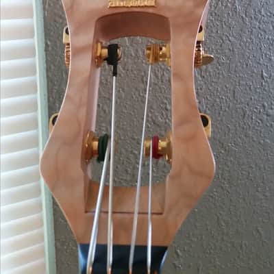 Alembic Classico Electric Upright with stand and soft case image 3