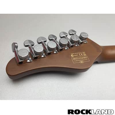 Schecter Traditional Van Nuys Gloss Natural Ash image 21