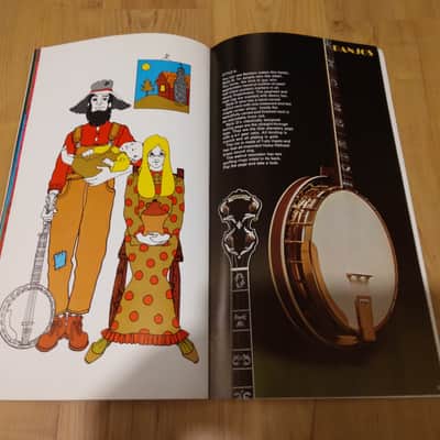 Vintage 1968 Baldwin Full Line (Guitar, Bass, Banjo, Keyboard) Catalog! Rare, Original Case Candy! image 16